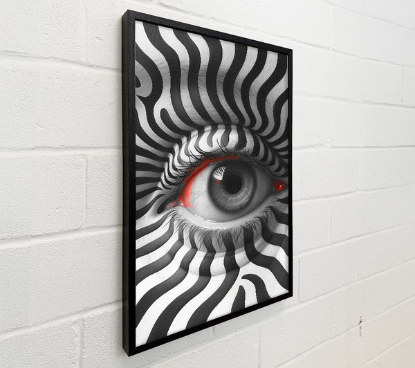 Zebra Stripes Eye
