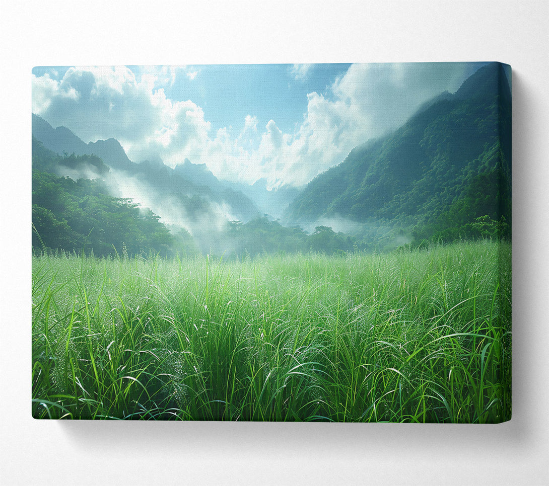  A Canvas Print of Emerald Valley Mist Canvas Wall Art