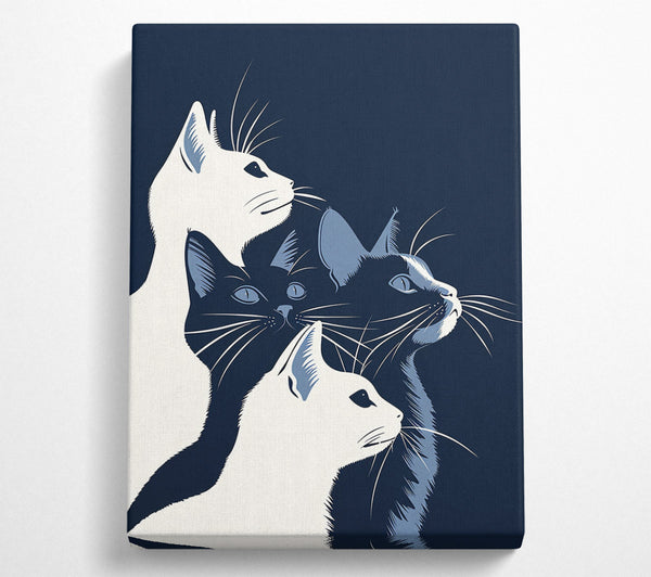  A Canvas Print of Midnight Blue Feline Trio Canvas Wall Art