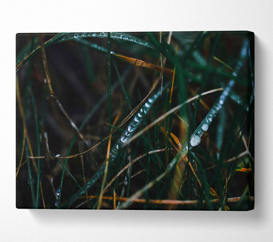  A Canvas Print of Emerald Dew Drops Canvas Wall Art