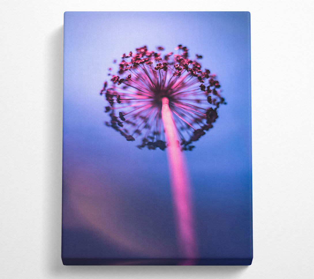  A Canvas Print of Loading... Canvas Print