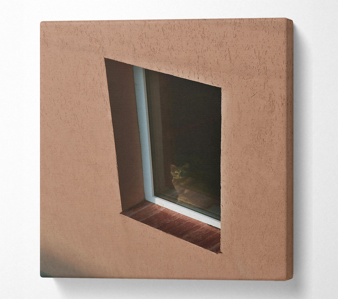  A Canvas Print of Golden Eye In Tan Canvas Art