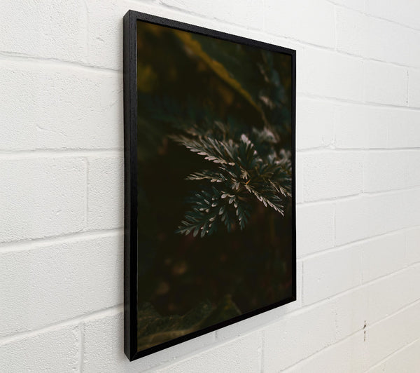 Emerald Forest Sprig