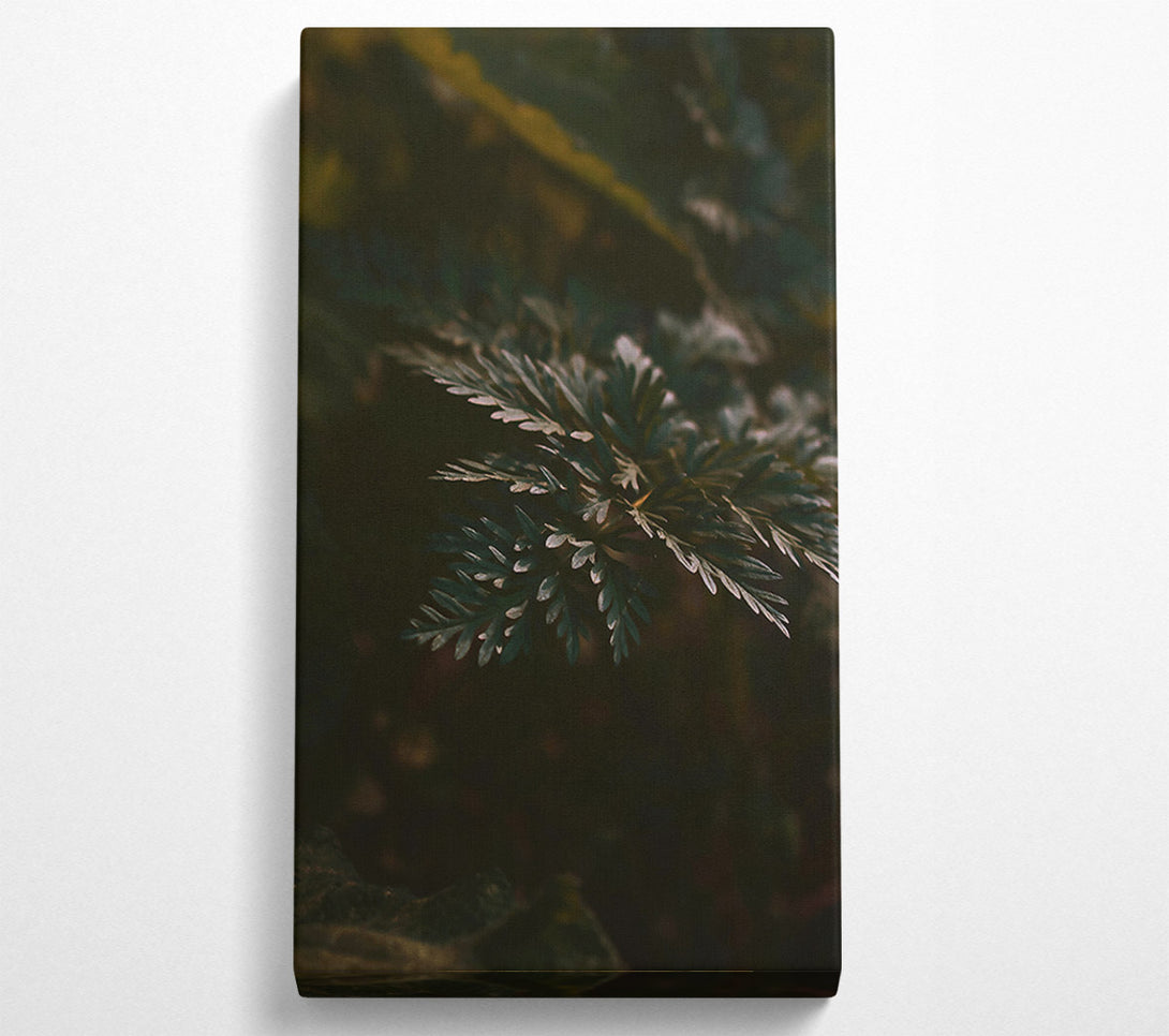  A Canvas Print of Emerald Forest Sprig Canvas Art