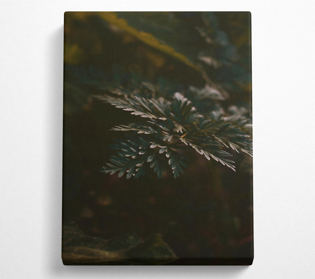  A Canvas Print of Emerald Forest Sprig Canvas Art