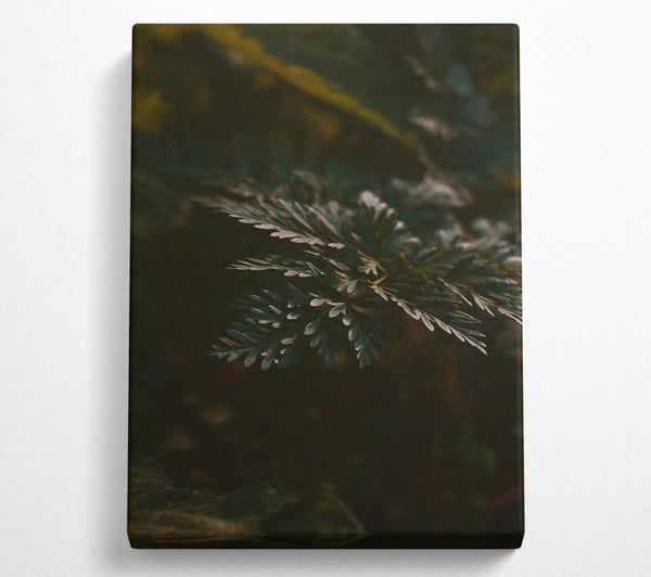  A Canvas Print of Emerald Forest Sprig Canvas Art