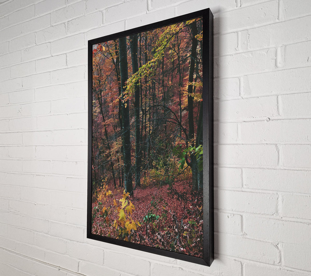  A Canvas Print of Crimson Forest Floor Canvas Art