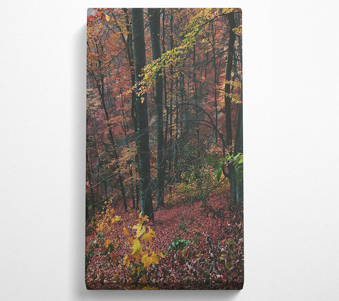  A Canvas Print of Crimson Forest Floor Canvas Art