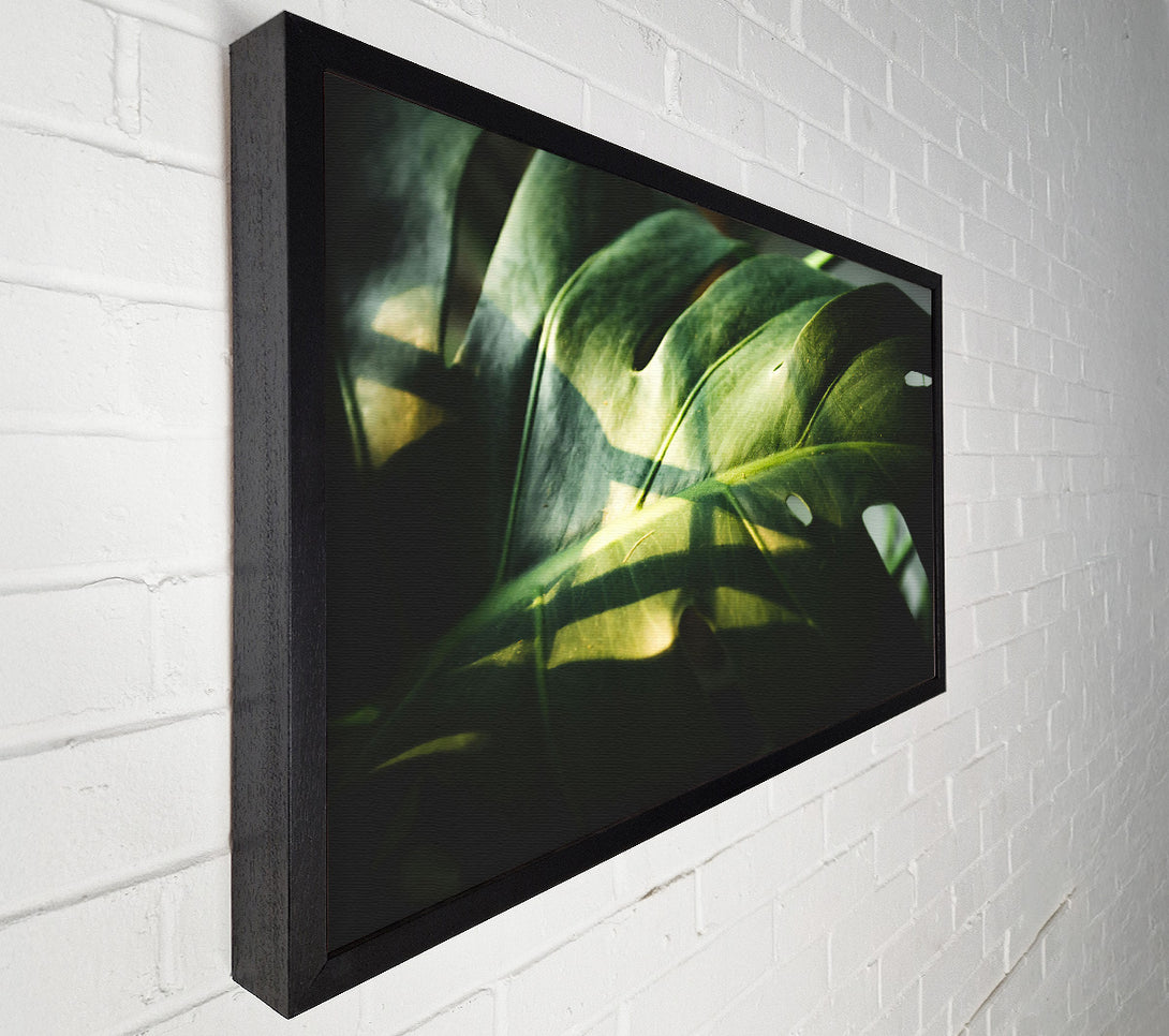  A Canvas Print of Emerald Leaf Shadows Canvas Print