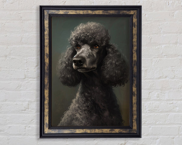 A Poodle Looking Framed Print