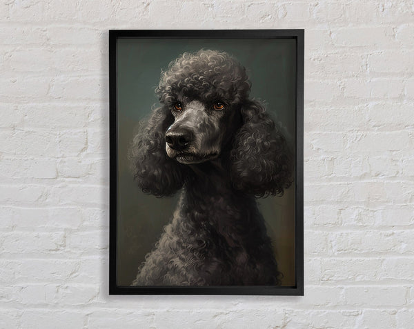 A Poodle Looking Framed Print