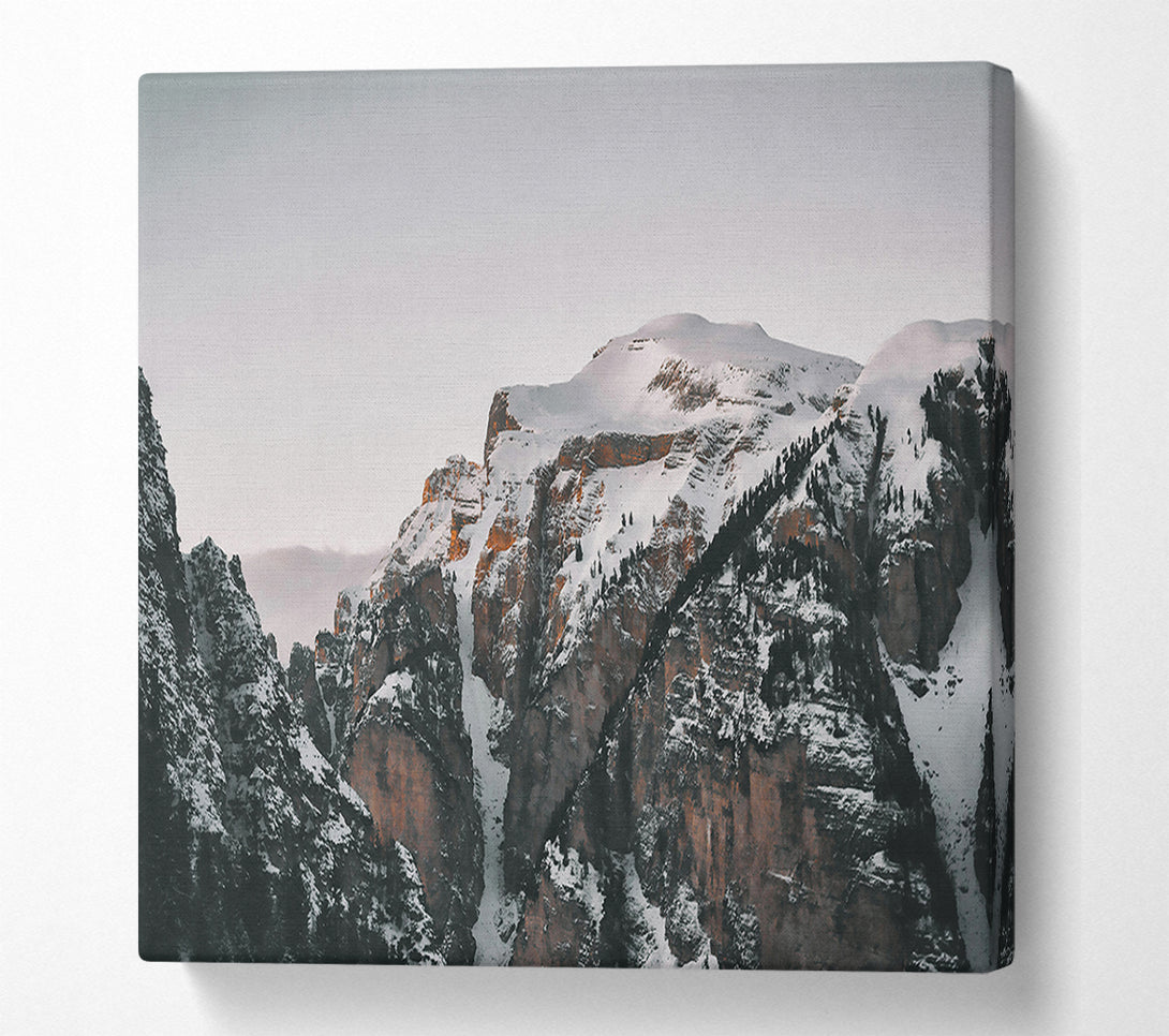  A Canvas Print of Golden Snow Peaks Canvas Print