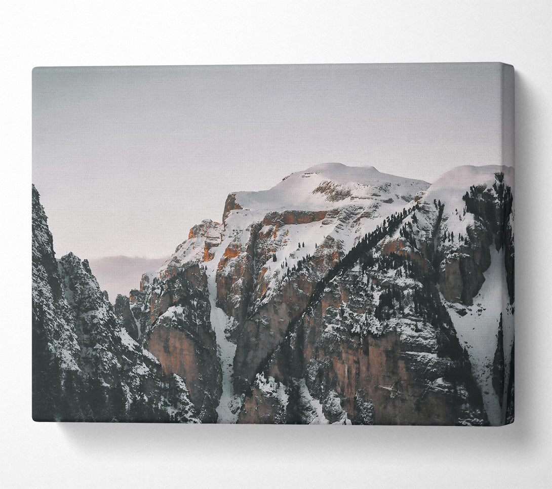  A Canvas Print of Golden Snow Peaks Canvas Print