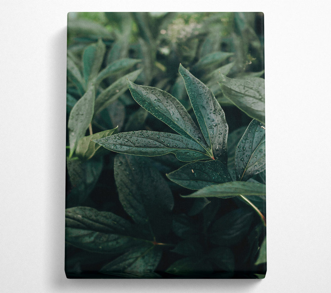  A Canvas Print of Emerald Dew Drops Canvas Wall Art
