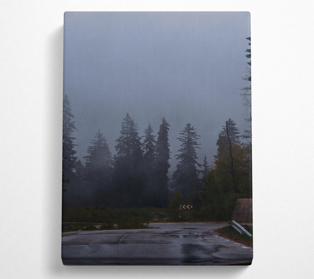  A Canvas Print of Gray Foggy Forest Road Canvas Wall Art