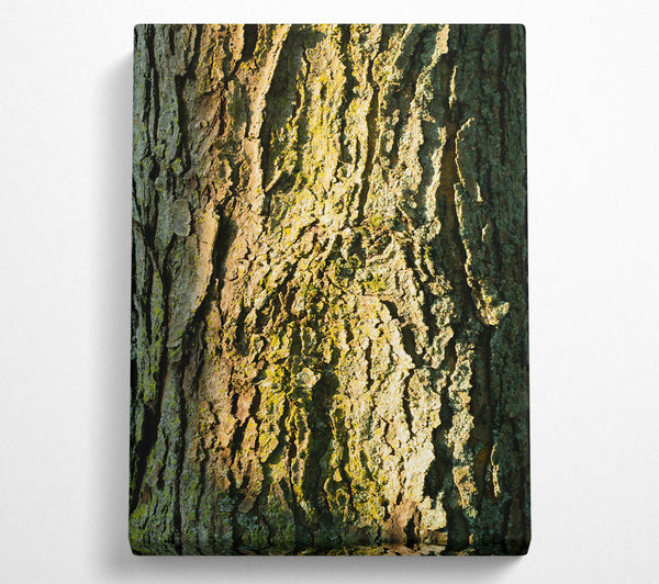  A Canvas Print of Golden Bark Texture Canvas Wall Art