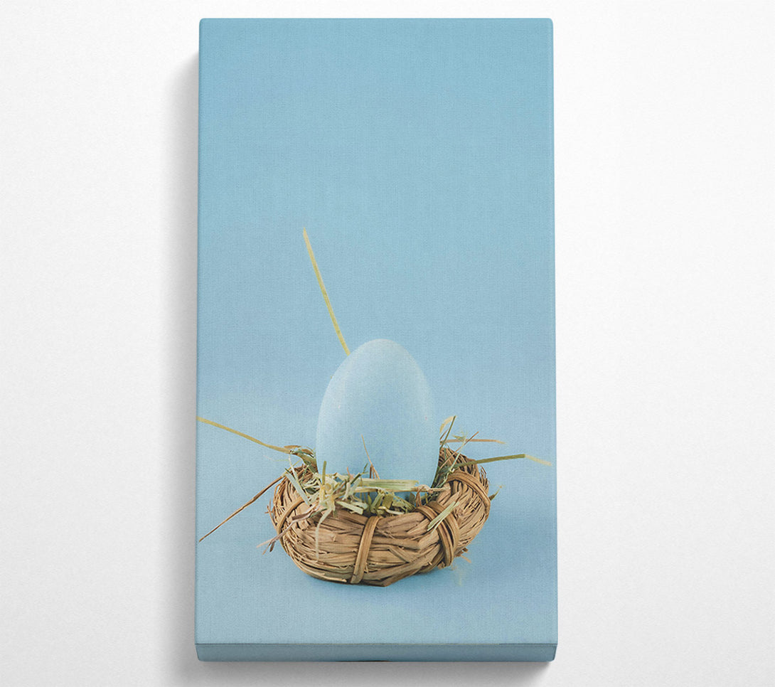  A Canvas Print of Pale Blue Nest Egg Canvas Print