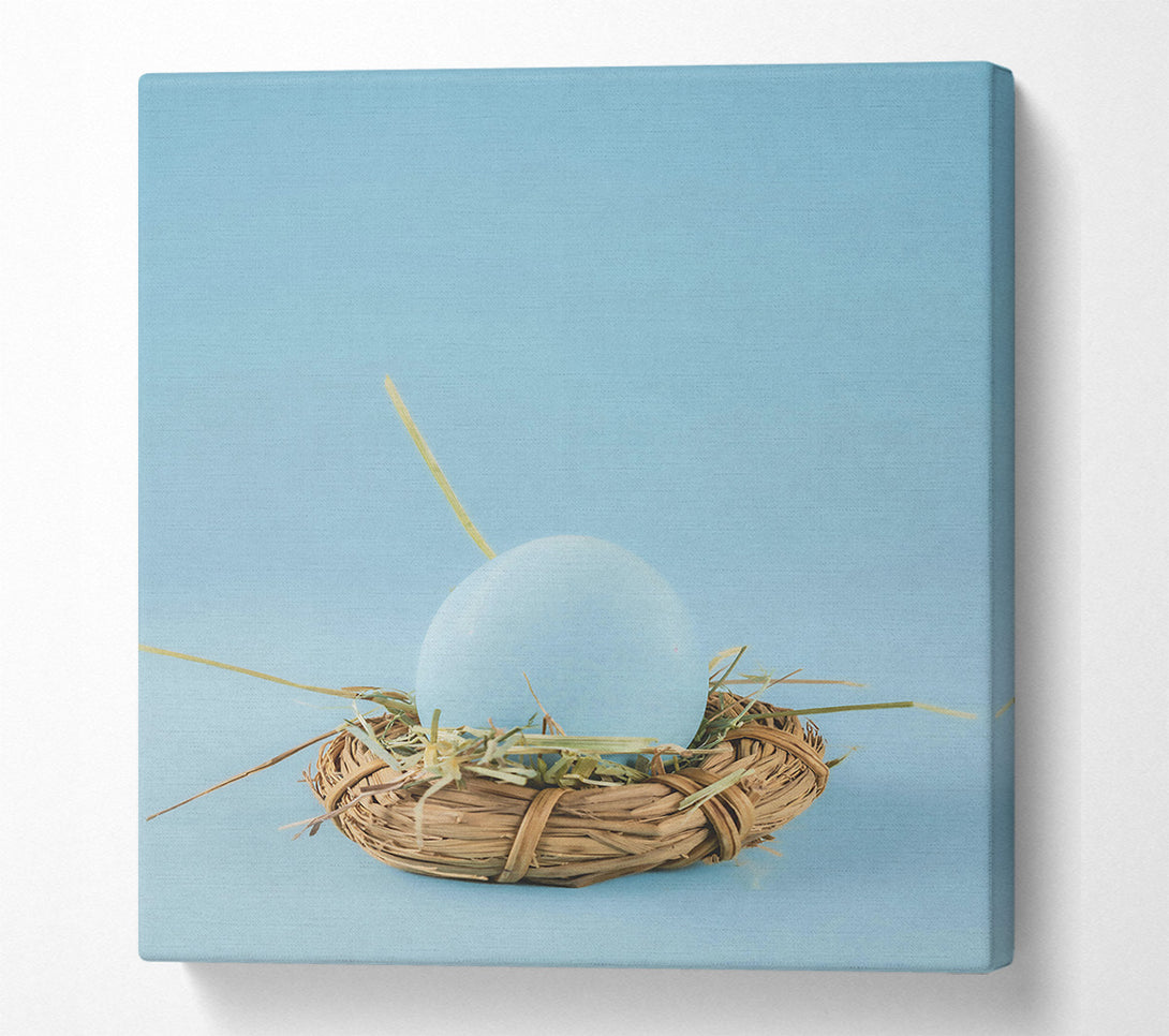  A Canvas Print of Pale Blue Nest Egg Canvas Print