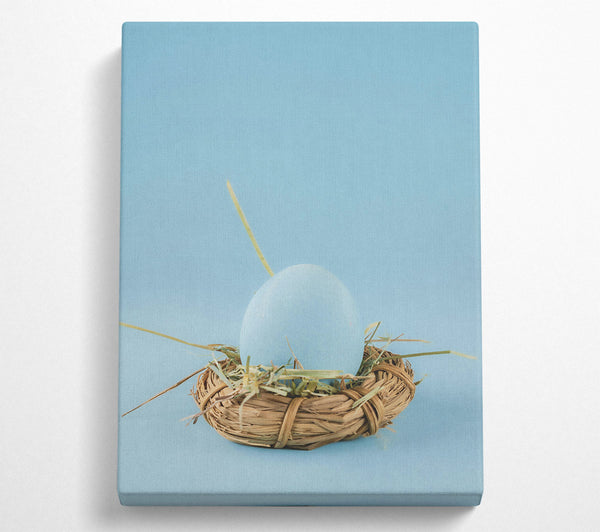 A Canvas Print of Pale Blue Nest Egg Canvas Print