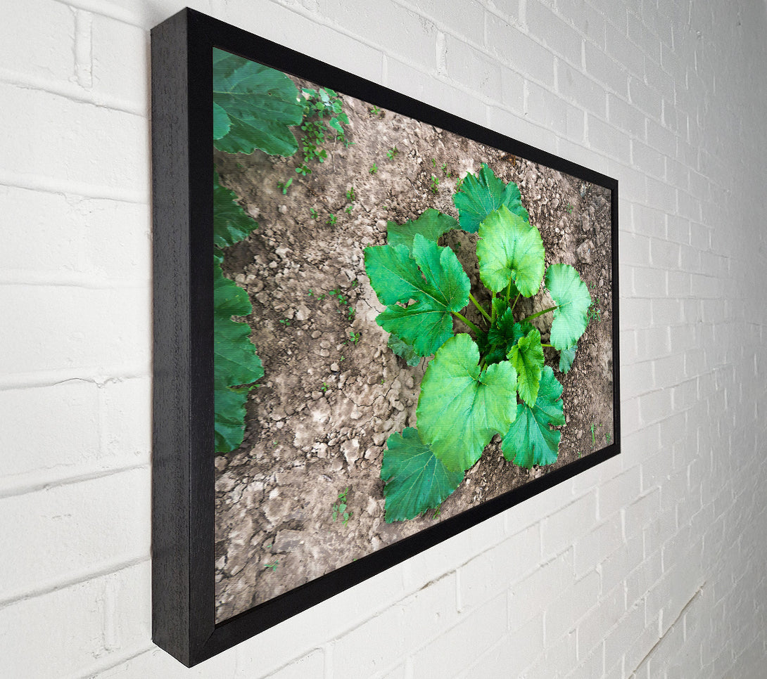 A Canvas Print of Emerald Green Growth Canvas Art