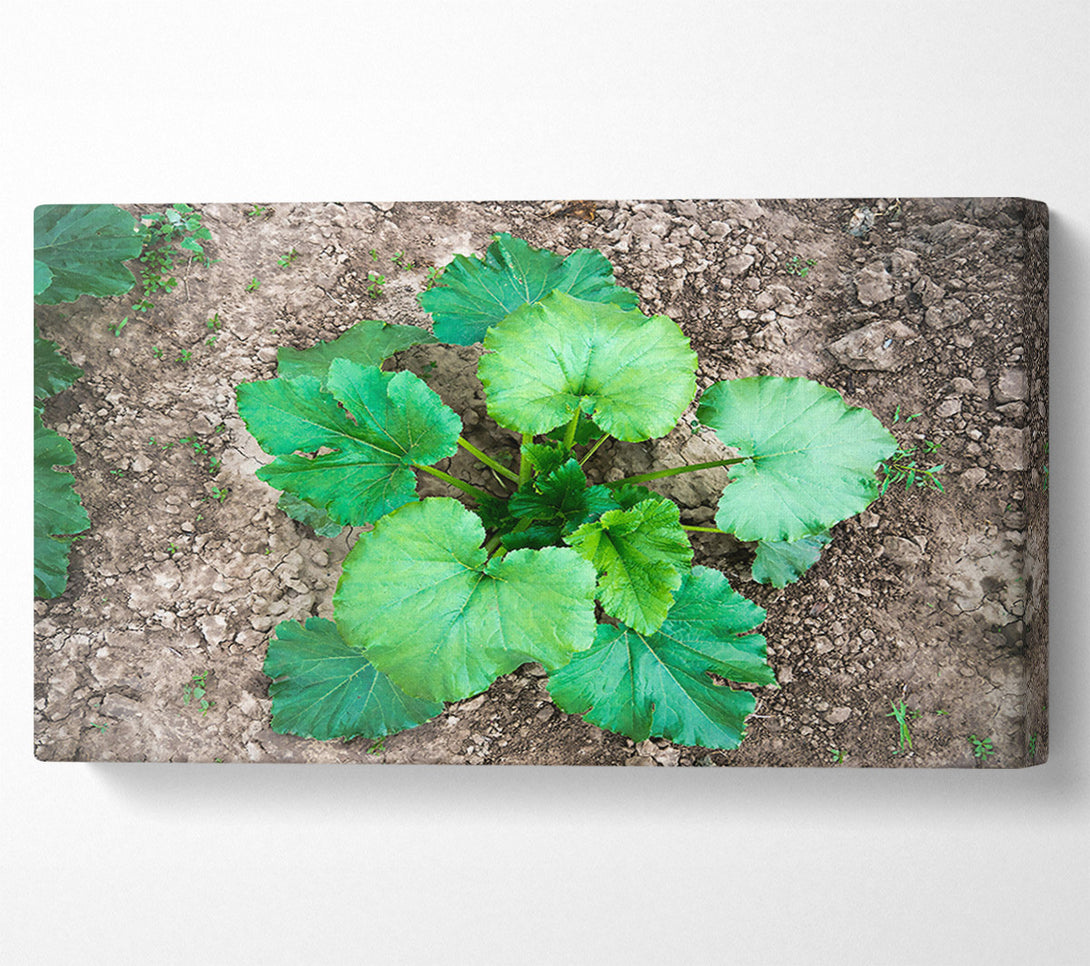  A Canvas Print of Emerald Green Growth Canvas Art