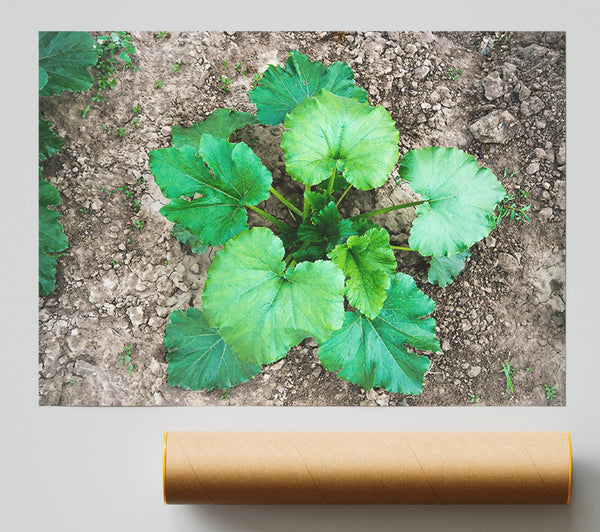 Emerald Green Growth Poster