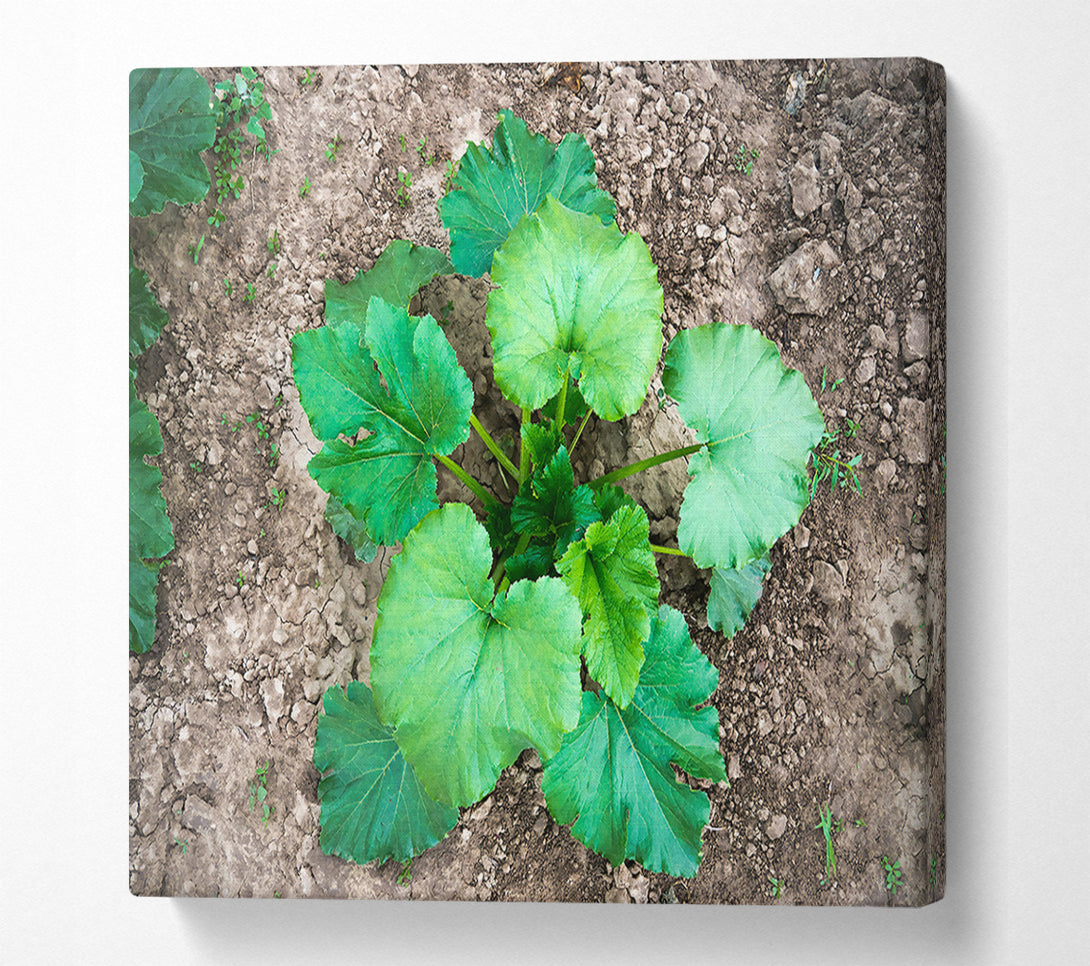  A Canvas Print of Emerald Green Growth Canvas Art