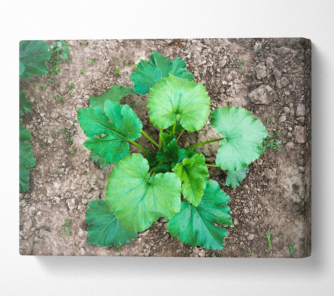  A Canvas Print of Emerald Green Growth Canvas Art