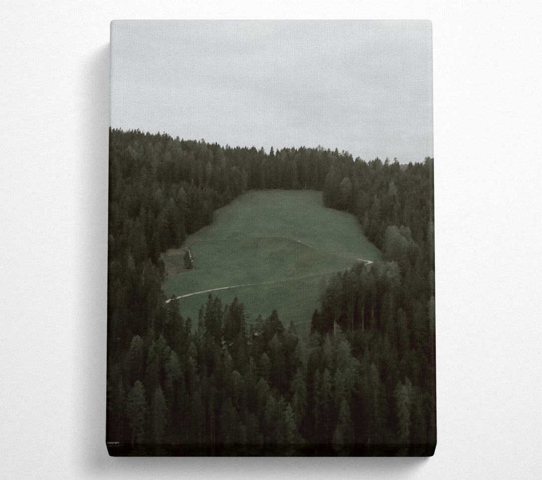  A Canvas Print of Emerald Forest Path Canvas Art