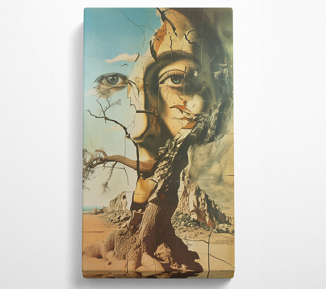  A Canvas Print of Abstract Cracked Face Canvas Wall Art