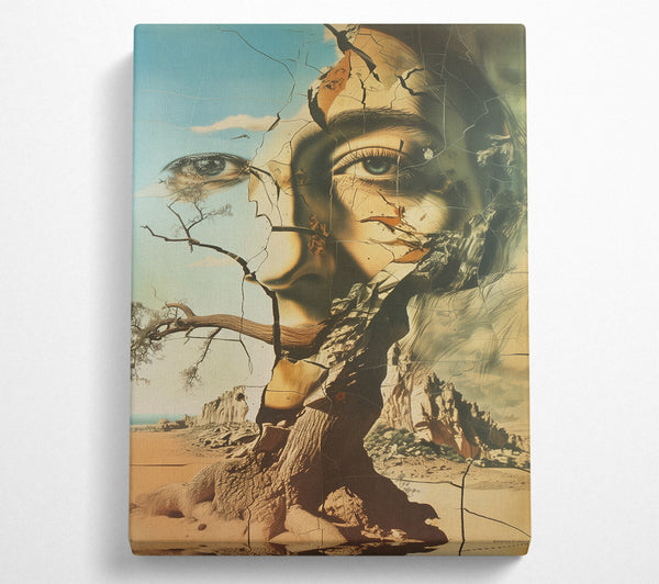  A Canvas Print of Abstract Cracked Face Canvas Wall Art