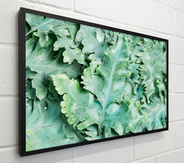 Silver Green Fronds