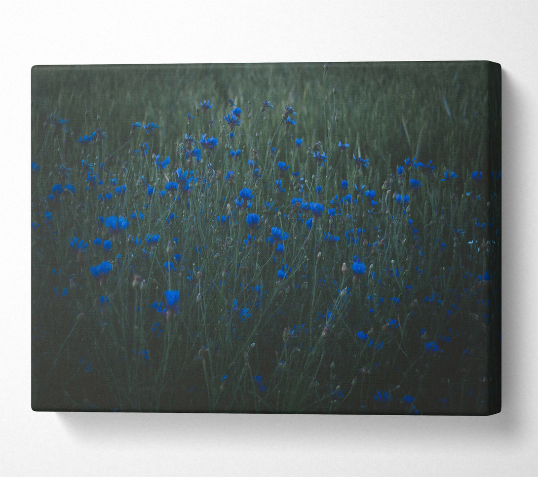  A Canvas Print of Azure Field Of Dreams Canvas Art