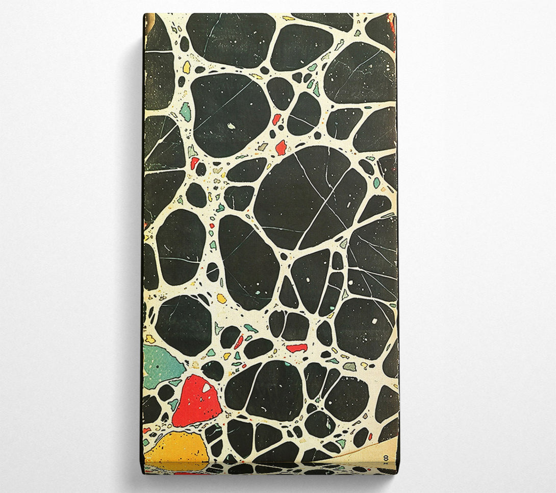  A Canvas Print of Black Webbed Abstract Canvas Art
