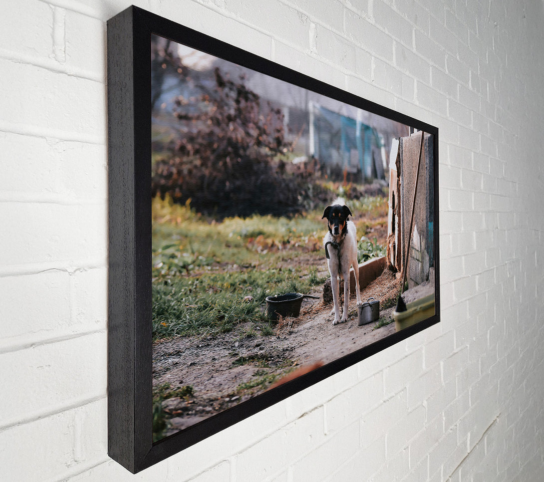  A Canvas Print of Grey Chain And Watchdog Canvas Wall Art