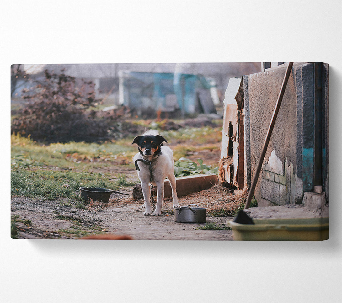  A Canvas Print of Grey Chain And Watchdog Canvas Wall Art