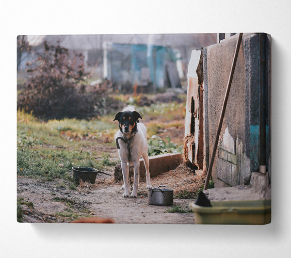  A Canvas Print of Grey Chain And Watchdog Canvas Wall Art