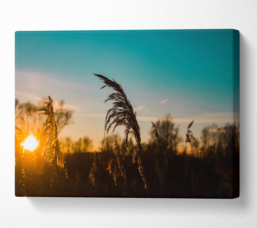  A Canvas Print of Golden Hour Silhouette Canvas Wall Art