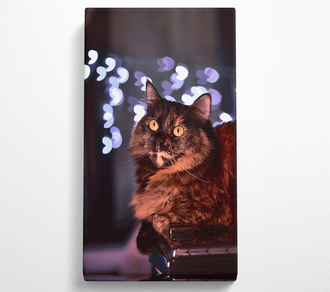  A Canvas Print of Golden Eyes & Lights Canvas Print