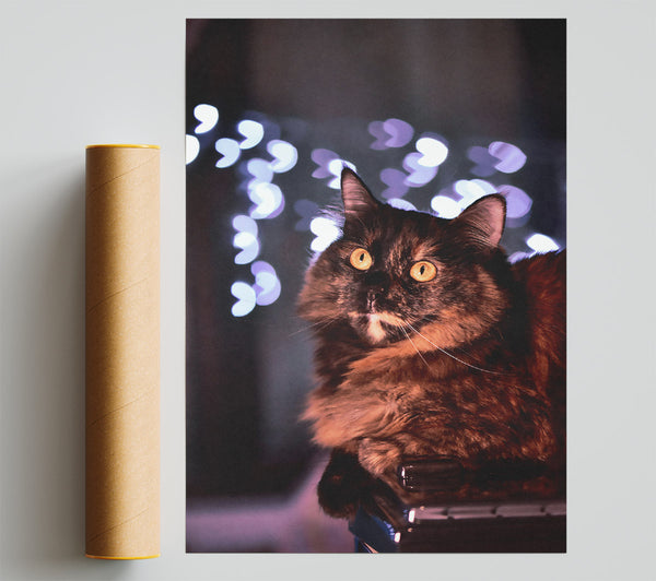 Golden Eyes & Lights Print