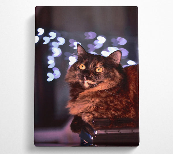  A Canvas Print of Golden Eyes & Lights Canvas Print