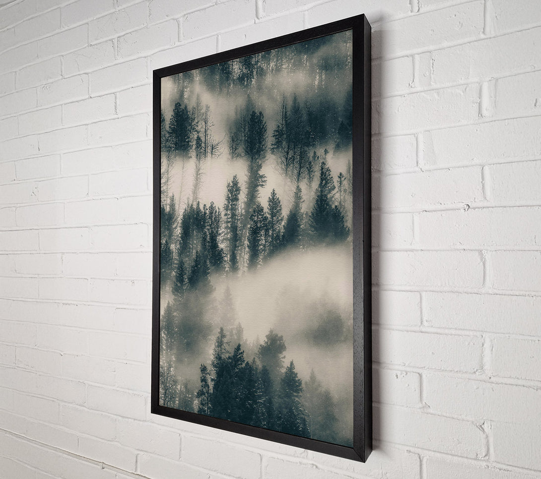  A Canvas Print of Gray Foggy Pines Canvas Wall Art