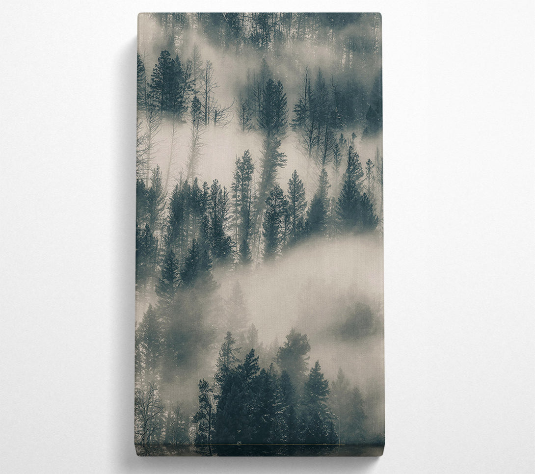  A Canvas Print of Gray Foggy Pines Canvas Wall Art