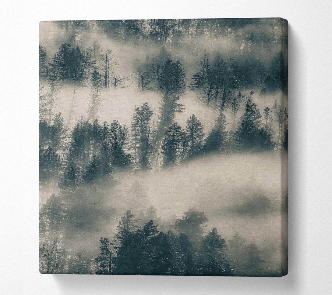  A Canvas Print of Gray Foggy Pines Canvas Wall Art