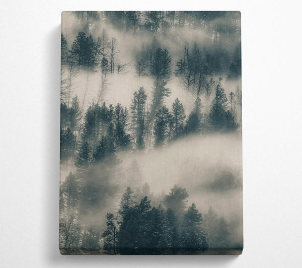  A Canvas Print of Gray Foggy Pines Canvas Wall Art
