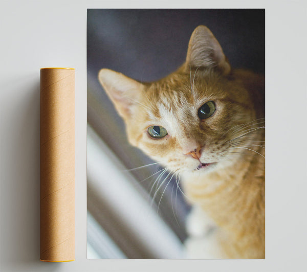 Golden Gaze Of Love Print