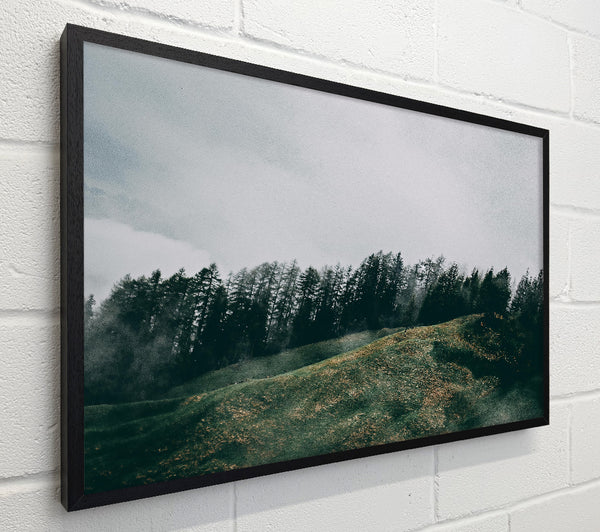 Emerald Mist Hills