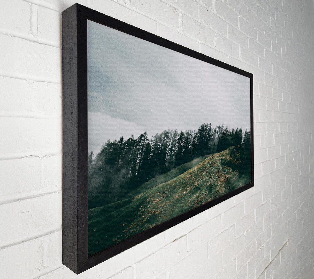  A Canvas Print of Emerald Mist Hills Canvas Print