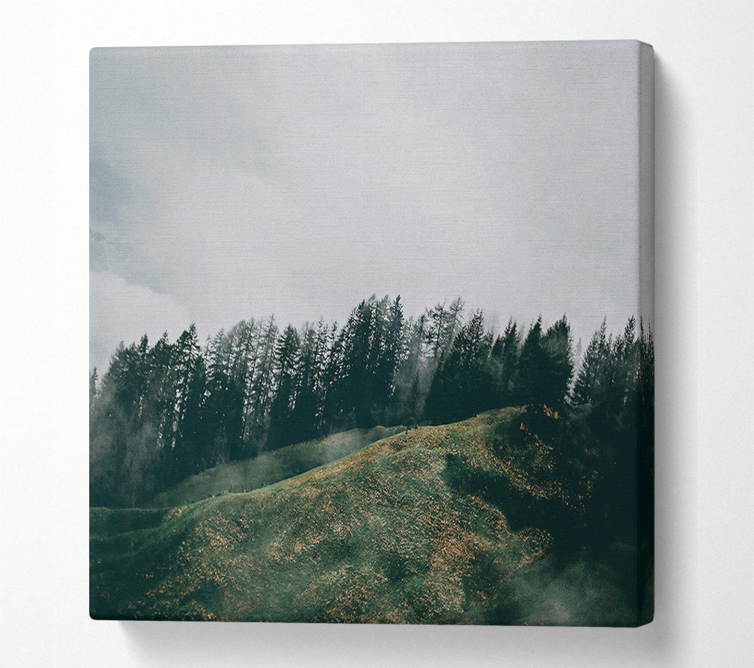 A Canvas Print of Emerald Mist Hills Canvas Print