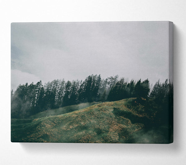  A Canvas Print of Emerald Mist Hills Canvas Print